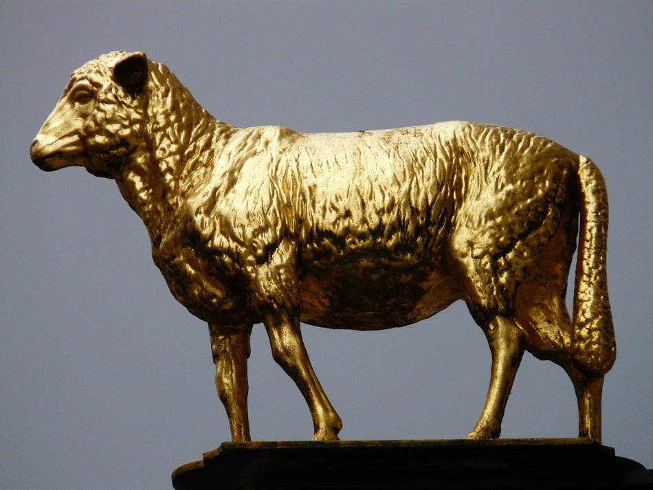 statue of a golden lamb closeup