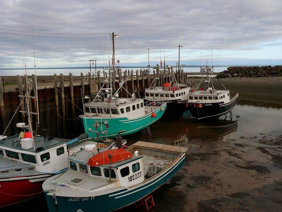 Fishing boats in the ocean