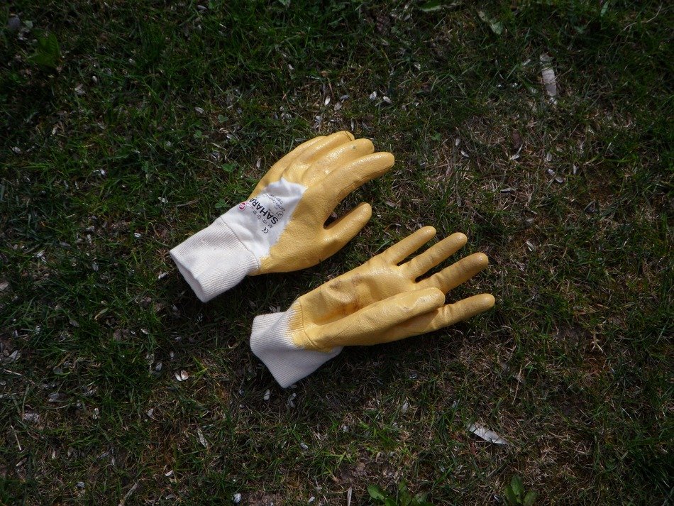 Gloves on ground in the garden