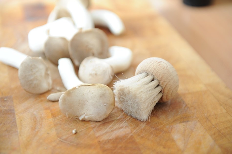 mushrooms brush on the board