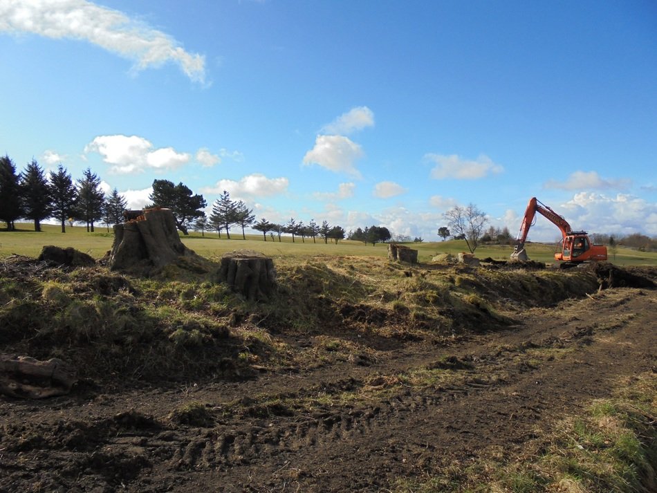 tree felling