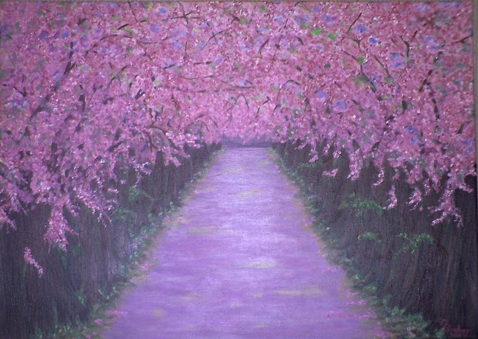 Beautiful art of pink flower forest