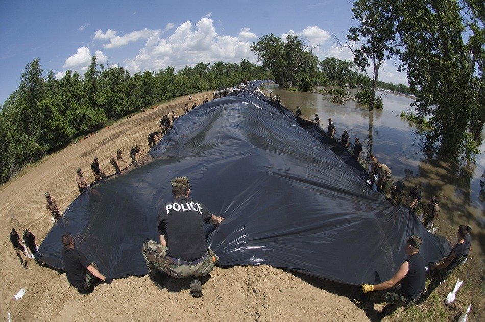 forest under a tarp