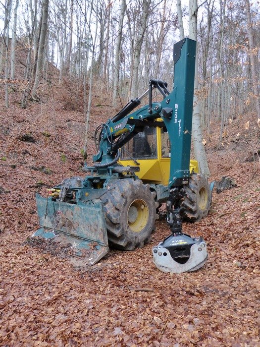 Wood in the forest