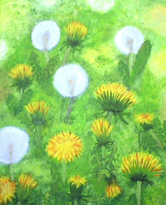 variety of dandelions in the meadow as a colorful picture