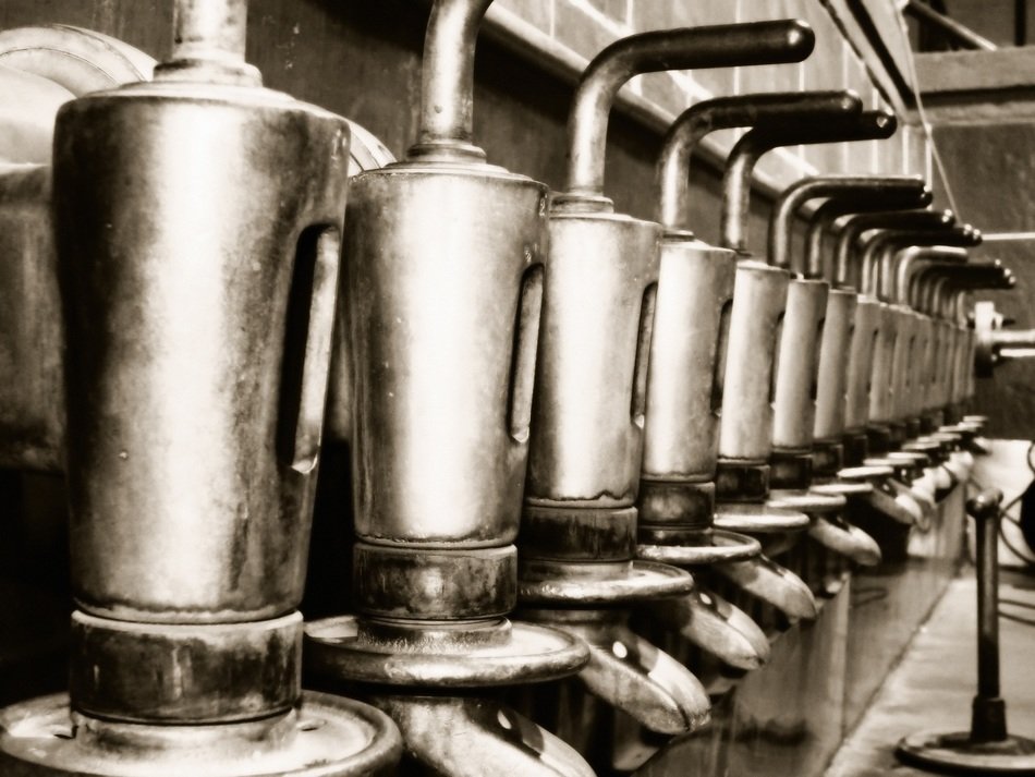 Barrels at the brewery