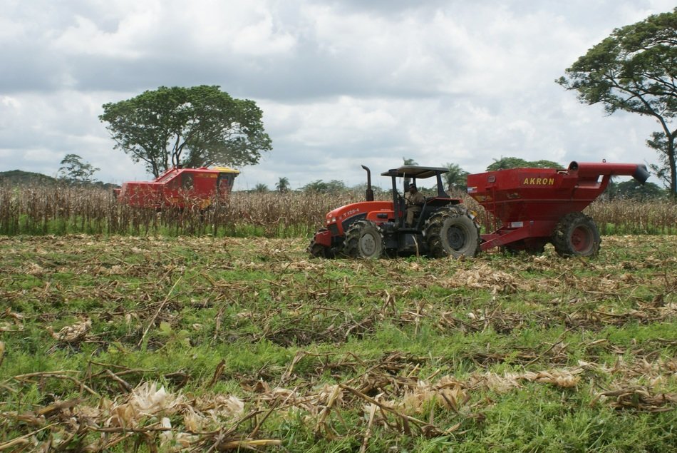 mechanical cleaning of the agricultural field