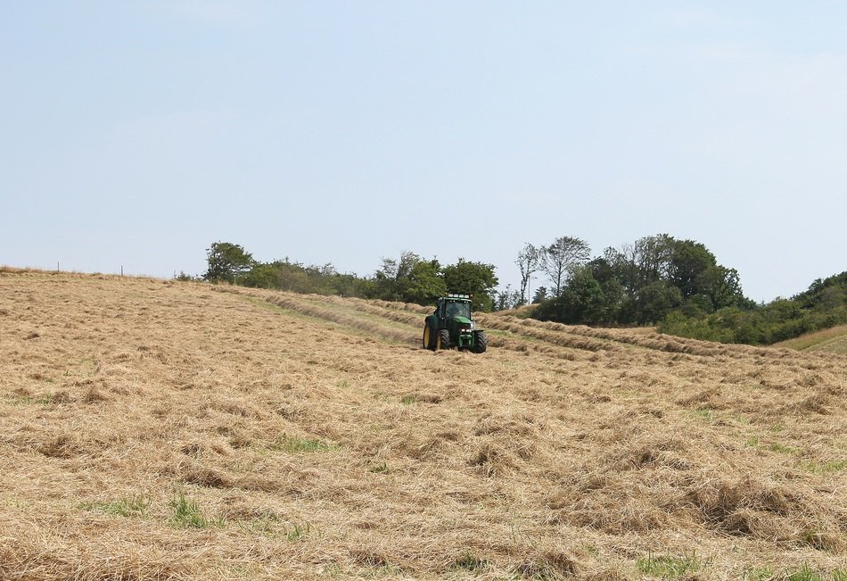 tractor works on the field