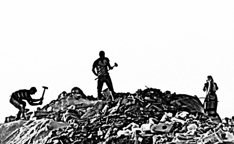 scavengers in garbage