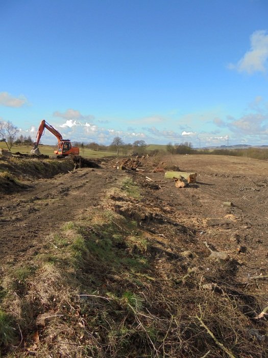 tree felling construction