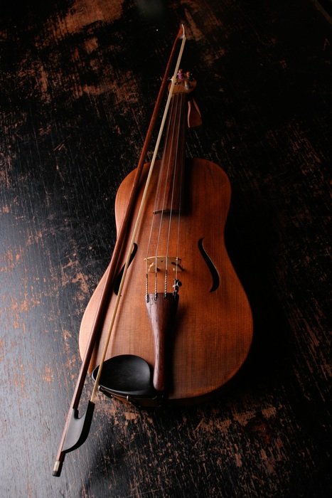 Classical wooden violin