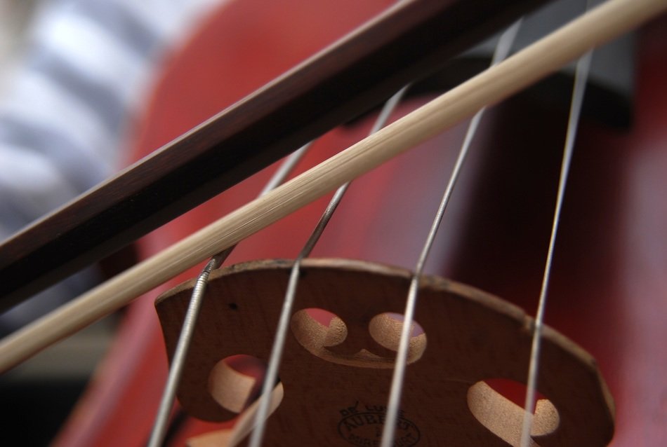 cello strings and bow