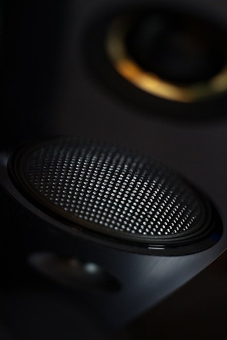 speaker closeup