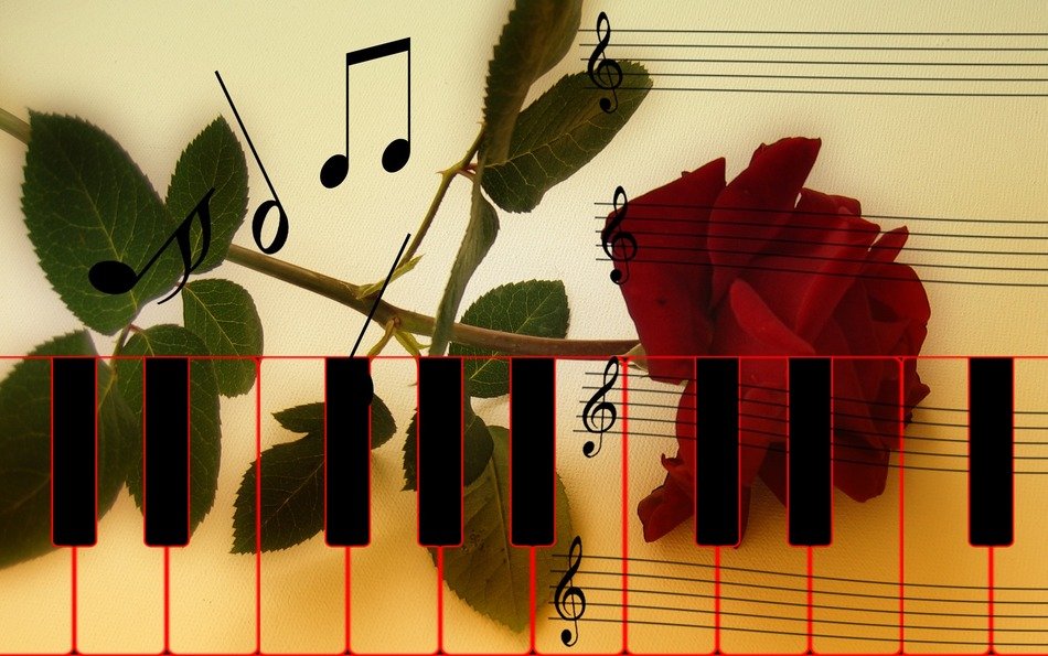 drawn piano keys on the background of roses and notebooks for notes