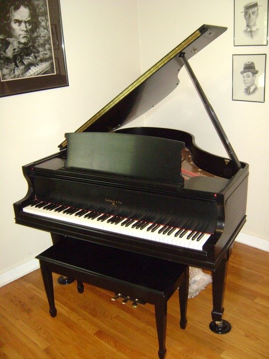 black piano in the corner of the living room