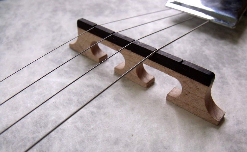 closeup photo of banjo strings