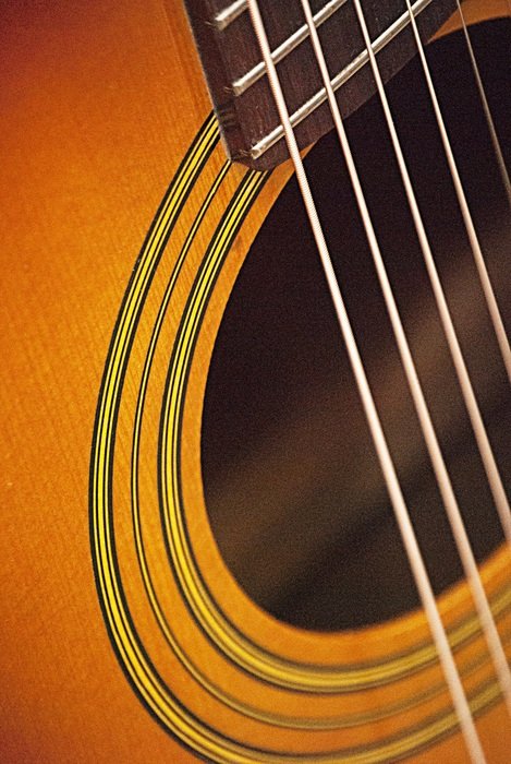 graphic image of a acoustic guitar