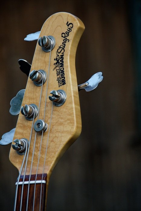 head of musicman stingray5 electric guitar close up
