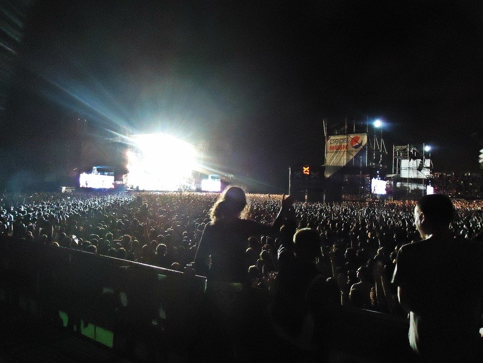 people at the night concert