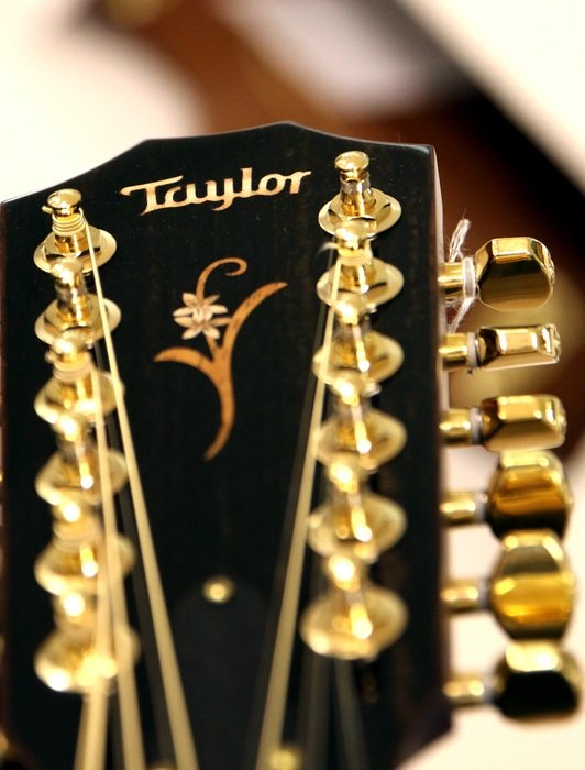Macro photo of acoustic guitat with 12 string
