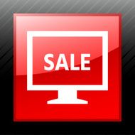 Computer Monitor icon on a square button - SleekSeries N105