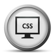 Computer Monitor icon on a silver button - SilverSeries N114