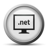 Computer Monitor icon on a silver button - SilverSeries N119