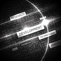 Development N2
