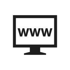 Computer Monitor icon on a white background - SingleSeries N110