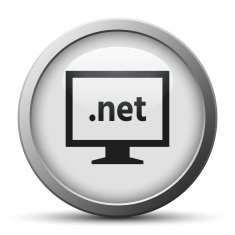 Computer Monitor icon on a silver button - SilverSeries N119