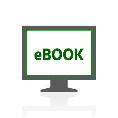Computer Monitor icon on a white background - FreshSeries N103