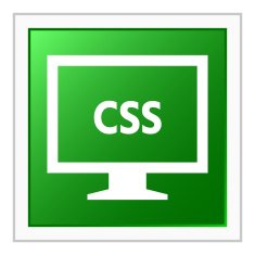 Computer Monitor icon on a square button - FlatSeries N44