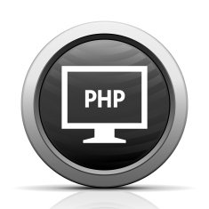 Computer Monitor icon on a round button - ElectSeries N18