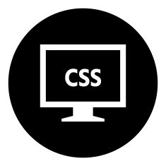 Computer Monitor icon on a round button - DimSeries N29