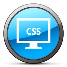 Computer Monitor icon on a round button - BrightSeries N29