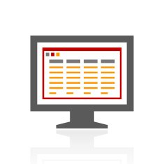 Computer Monitor icon on a white background - ProSeries N170