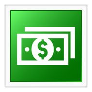 Money icon on a square button - FlatSeries