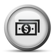 Money icon on a silver button - SilverSeries