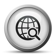 Globe icon on a silver button - SilverSeries