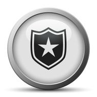 Shield icon on a silver button - SilverSeries