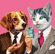 Dog and Cat Businessmen