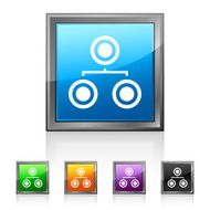 Organization Chart icon on square buttons - Squared Series N3