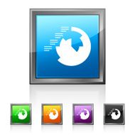 Coxcomb Chart icon on square buttons - Squared Series N3