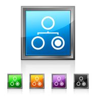 Organization Chart icon on square buttons - Squared Series N5