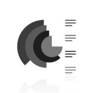 Coxcomb Chart icon on a white background N3