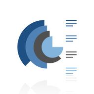 Coxcomb Chart icon on a white background N4