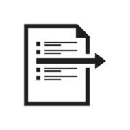 Document icon on a white background N19