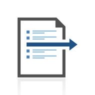 Document icon on a white background N29