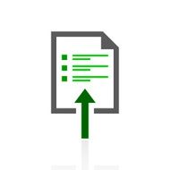 Document icon on a white background N40