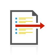 Document icon on a white background N48